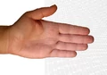 Siatka tkana nierdzewna widok na dłoni